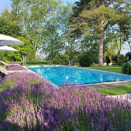 Oh, Le Chateau!