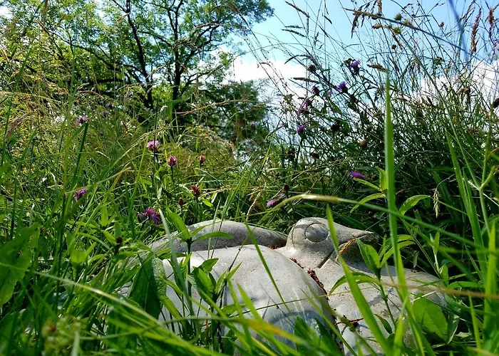 Oh, Le Château! Almayrac