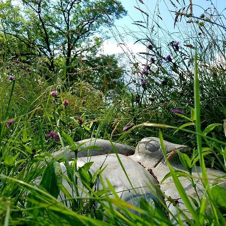 Oh, Le Chateau! Almayrac