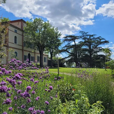 Oh, Le Chateau! * Almayrac