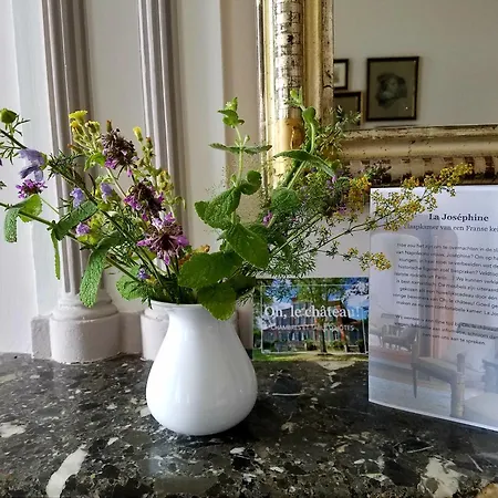 Oh, Le Chateau! Bed & Breakfast Almayrac